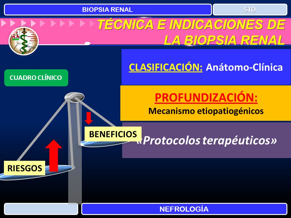 PROFUNDIZACIÓN: «Protocolos terapéuticos»