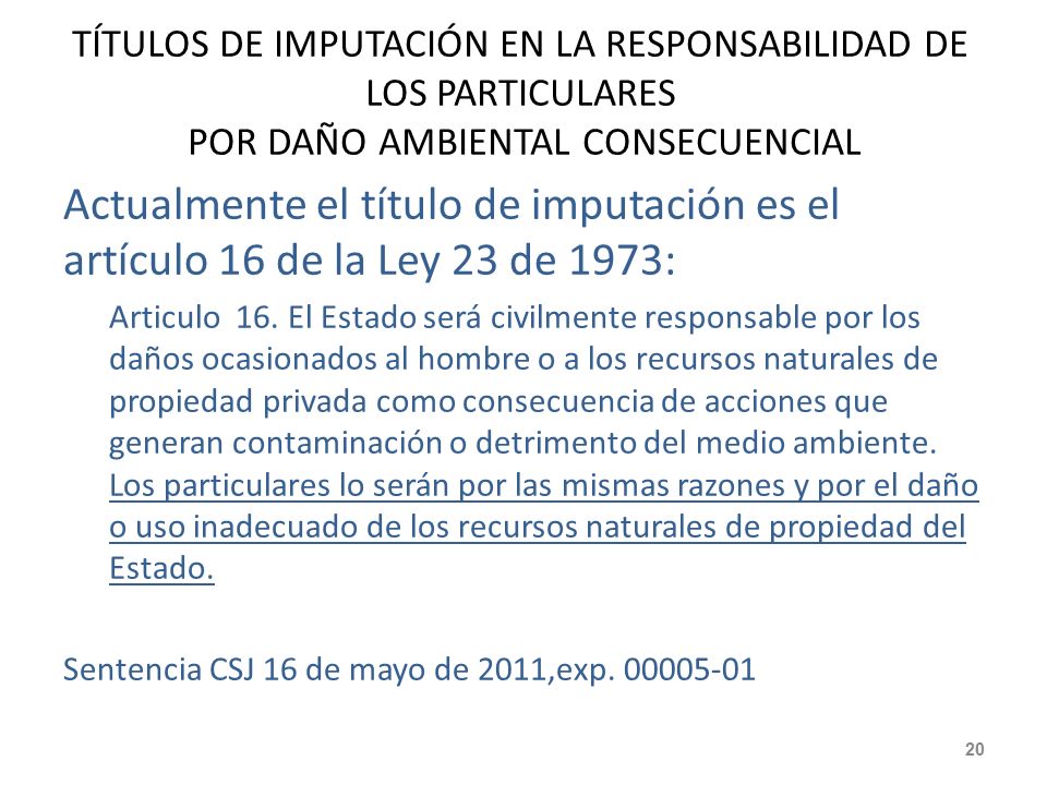 TÍTULOS DE IMPUTACIÓN EN LA RESPONSABILIDAD DE LOS PARTICULARES POR DAÑO AMBIENTAL CONSECUENCIAL