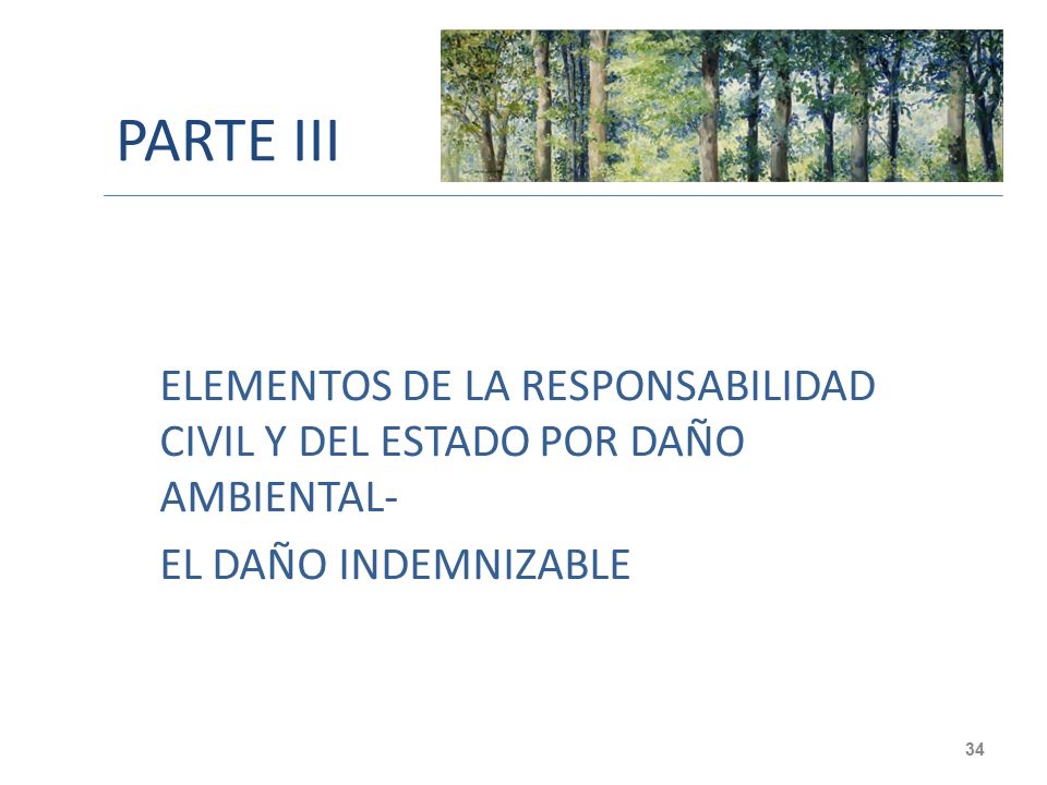 PARTE III ELEMENTOS DE LA RESPONSABILIDAD CIVIL Y DEL ESTADO POR DAÑO AMBIENTAL- EL DAÑO INDEMNIZABLE.