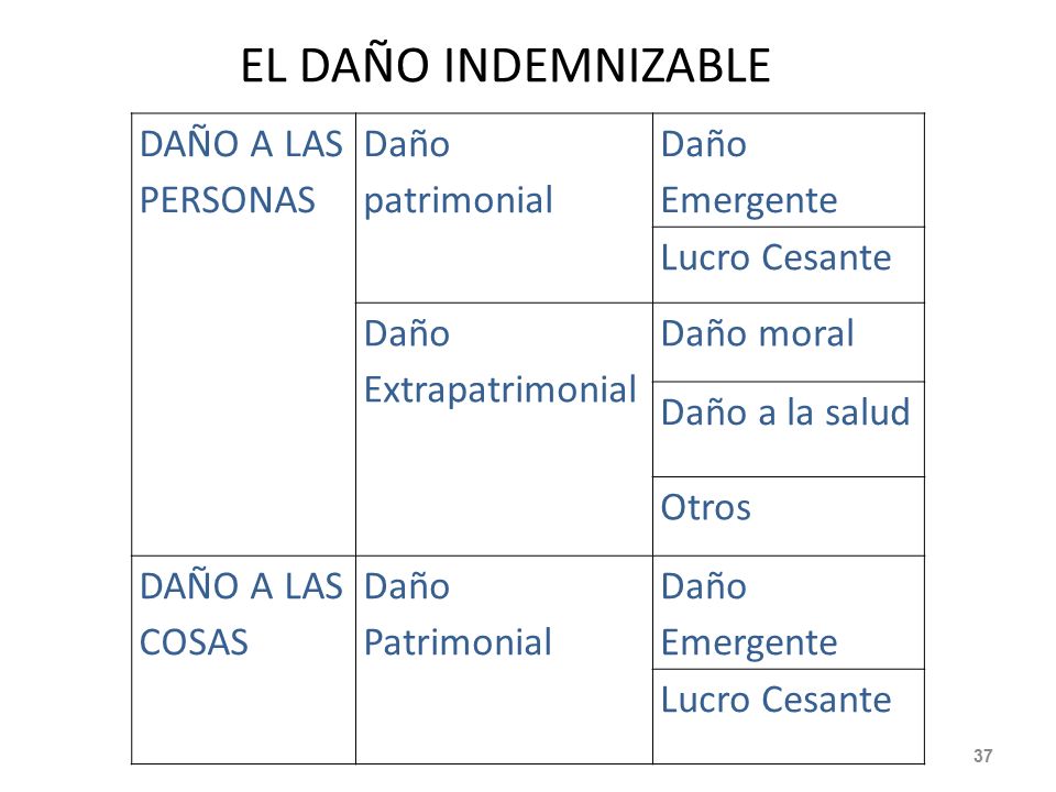 EL DAÑO INDEMNIZABLE DAÑO A LAS PERSONAS Daño patrimonial
