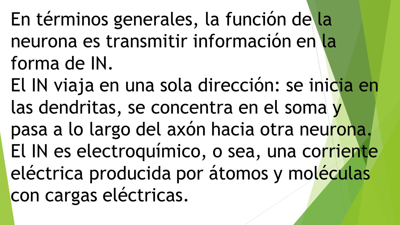 En términos generales, la función de la neurona es transmitir información en la forma de IN.