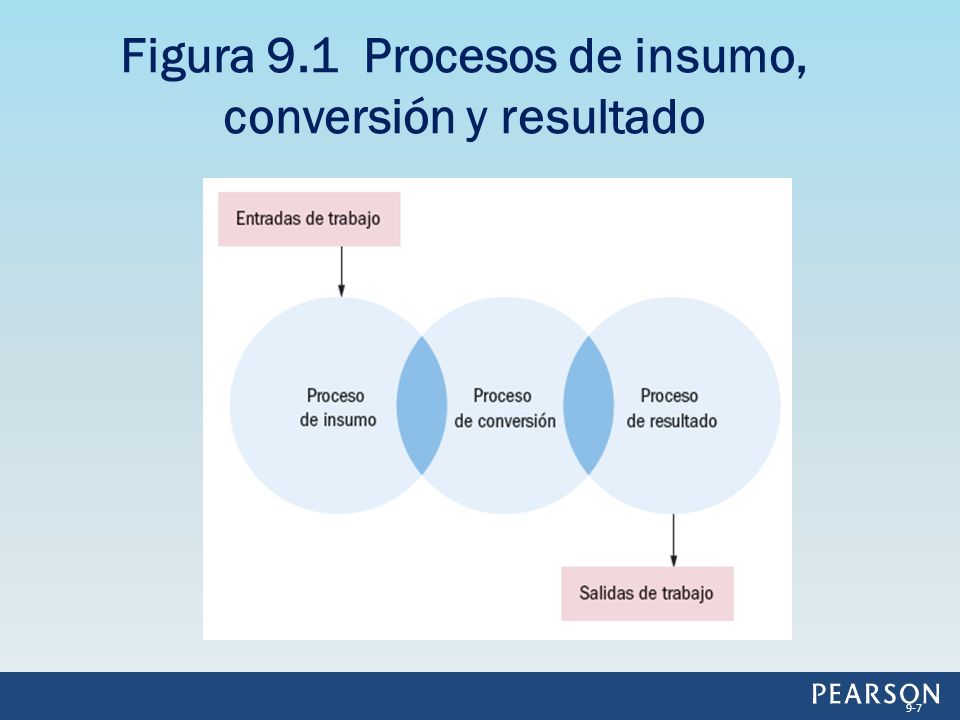 Figura 9.1 Procesos de insumo, conversión y resultado