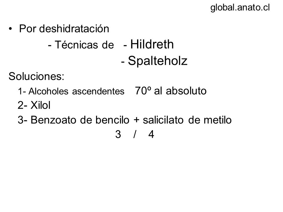 Diafanización Por deshidratación - Técnicas de - Hildreth - Spalteholz