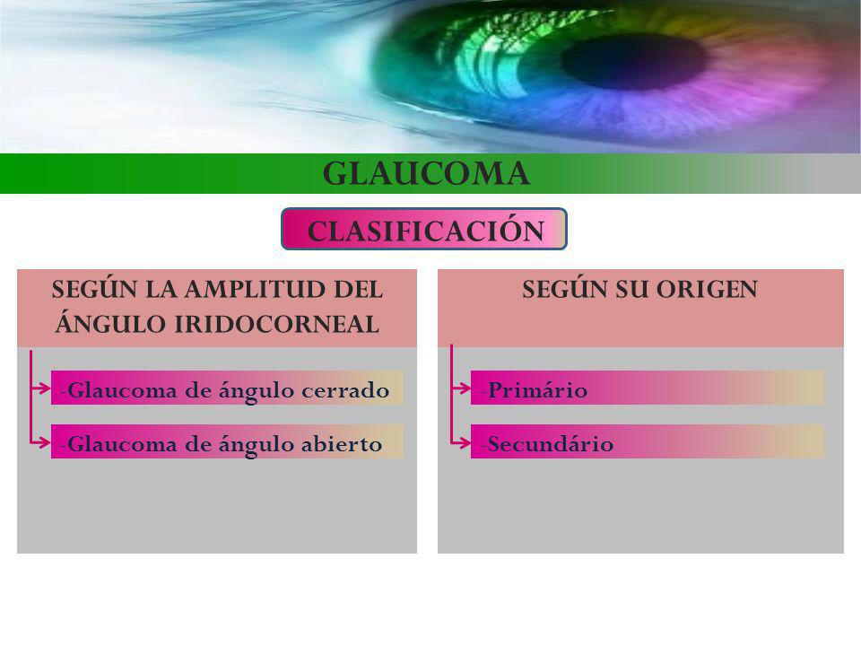 SEGÚN LA AMPLITUD DEL ÁNGULO IRIDOCORNEAL