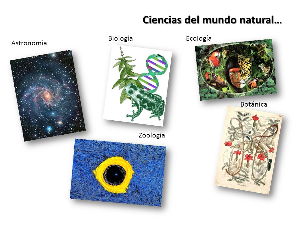 Ciencias del mundo natural…
