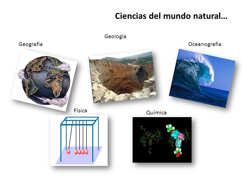 Ciencias del mundo natural…