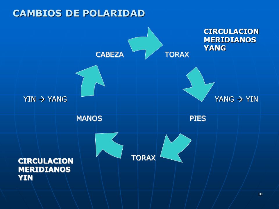 CAMBIOS DE POLARIDAD CIRCULACION MERIDIANOS YANG YIN  YANG YANG  YIN