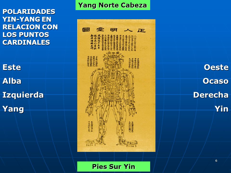 Este Alba Izquierda Yang Oeste Ocaso Derecha Yin Yang Norte Cabeza