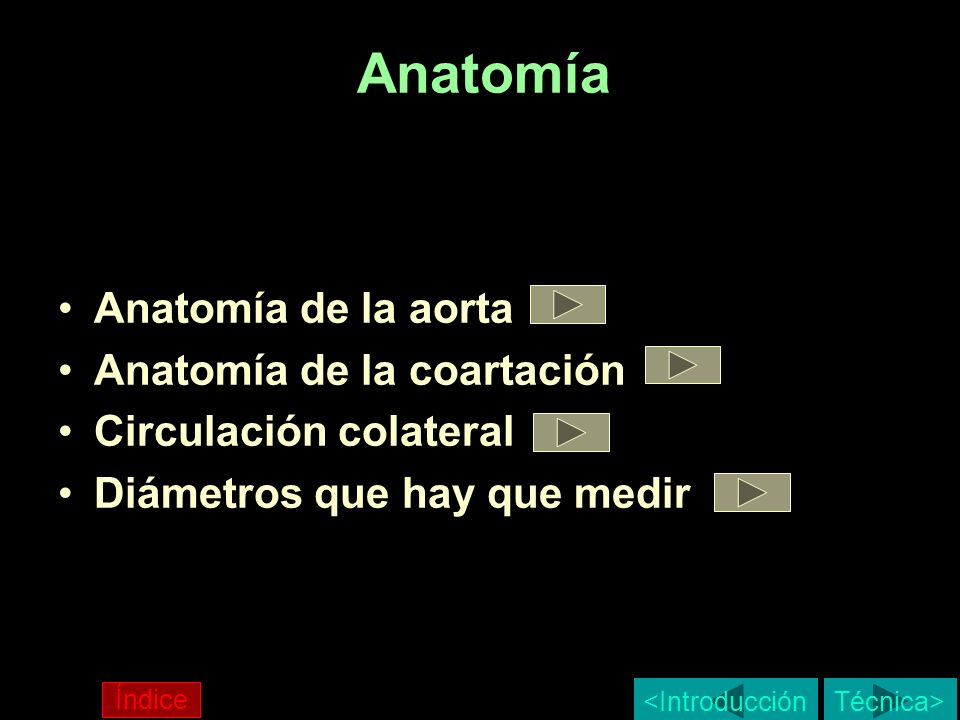 Anatomía Anatomía de la aorta Anatomía de la coartación