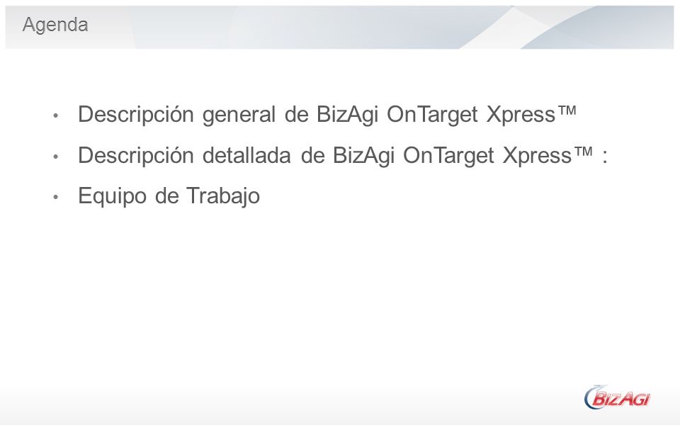 Descripción general de BizAgi OnTarget Xpress™