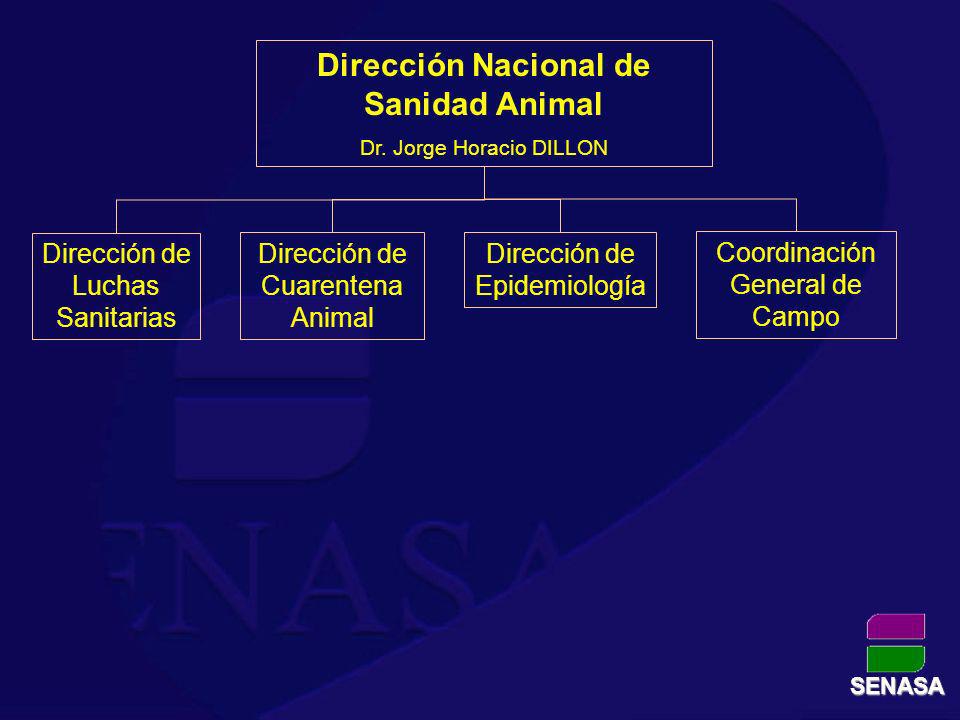 Dirección Nacional de Sanidad Animal