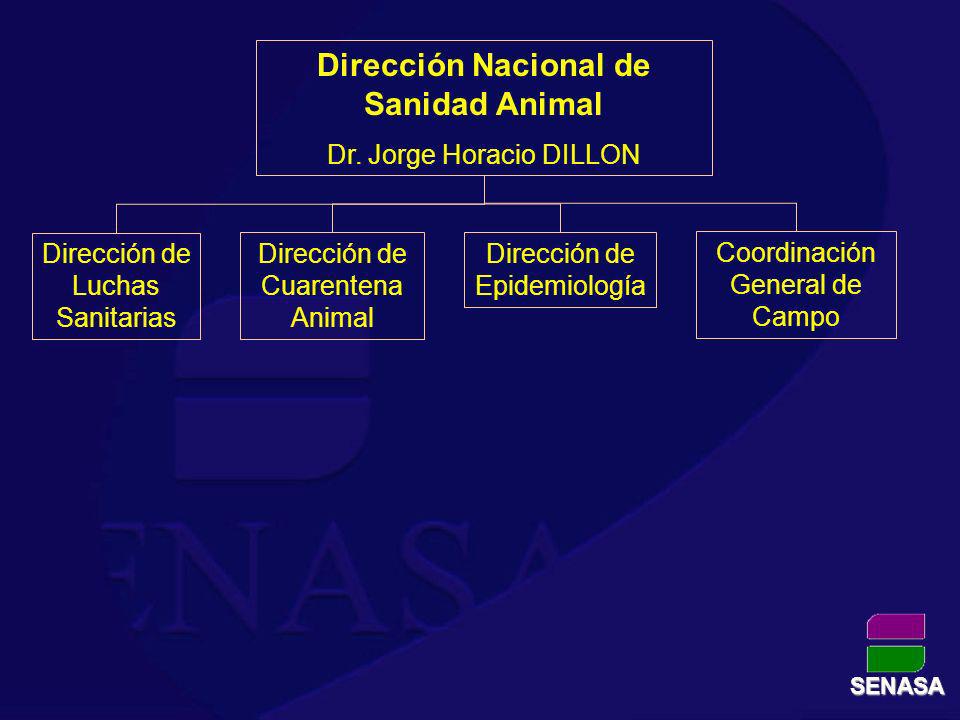 Dirección Nacional de Sanidad Animal