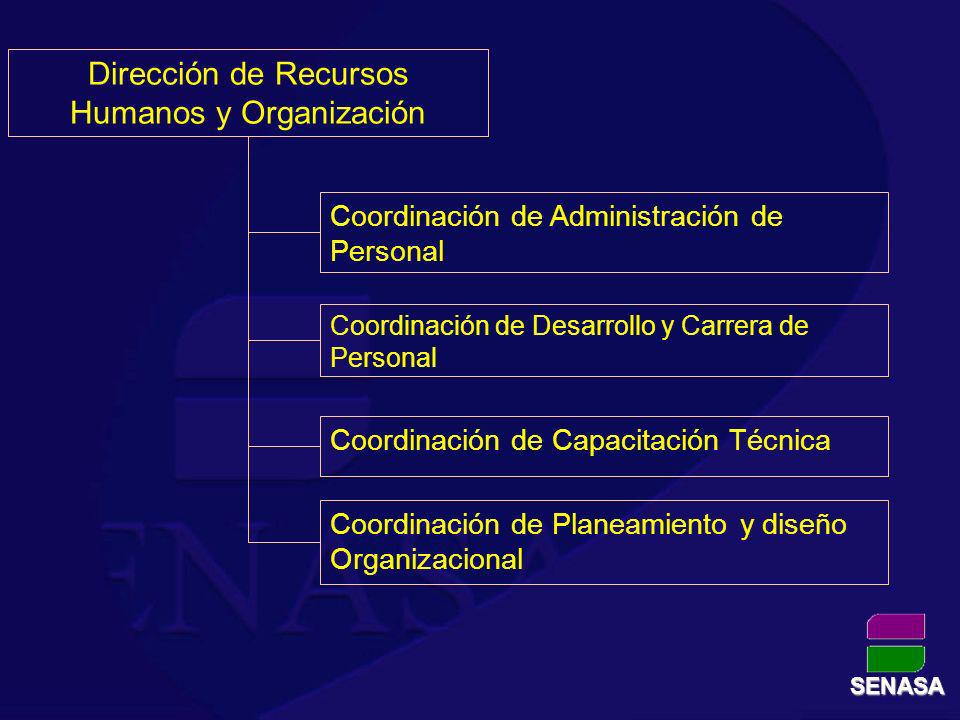 Dirección de Recursos Humanos y Organización