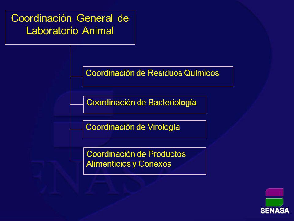 Coordinación General de Laboratorio Animal