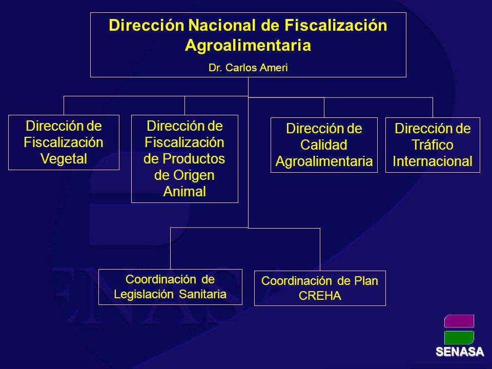 Dirección Nacional de Fiscalización Agroalimentaria