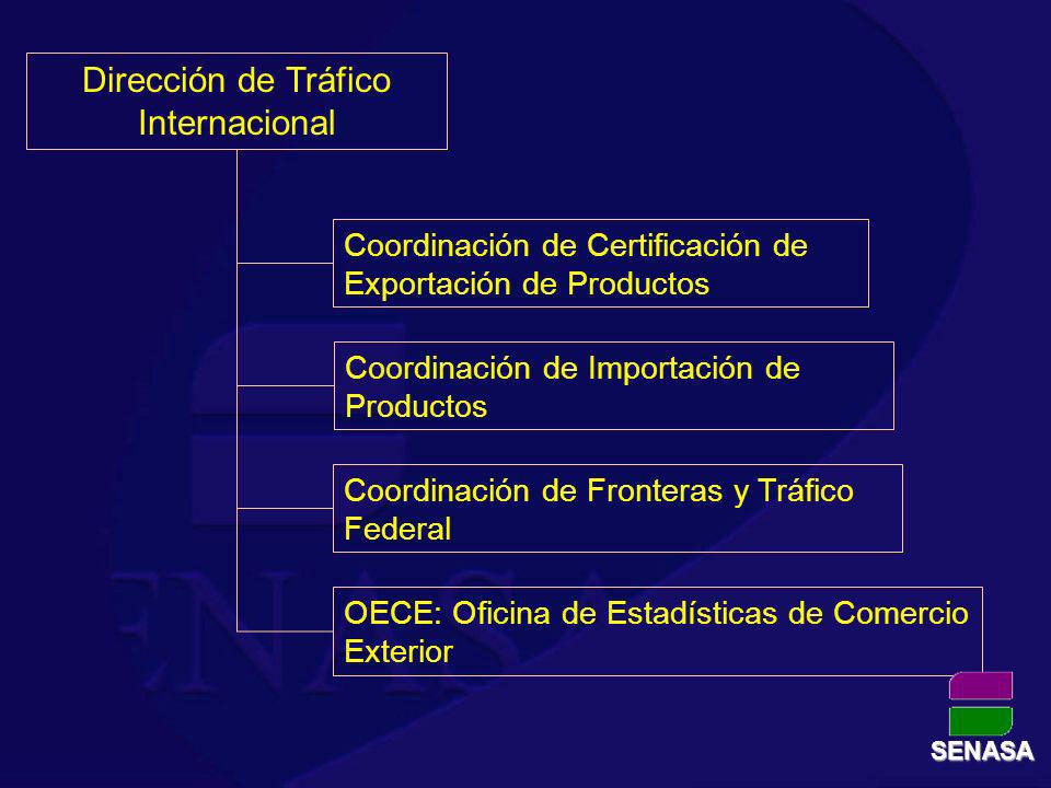 Dirección de Tráfico Internacional