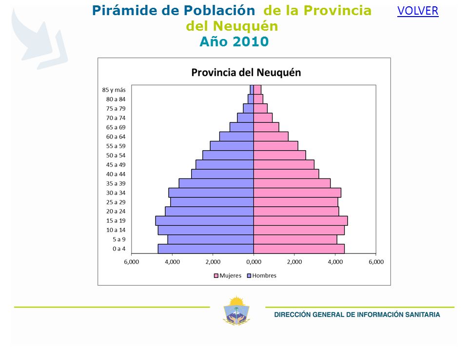 Pirámide de Población de la Provincia del Neuquén Año 2010