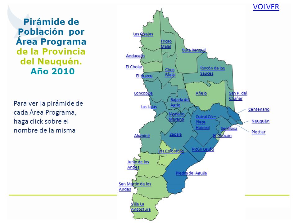 Pirámide de Población por Área Programa de la Provincia del Neuquén.