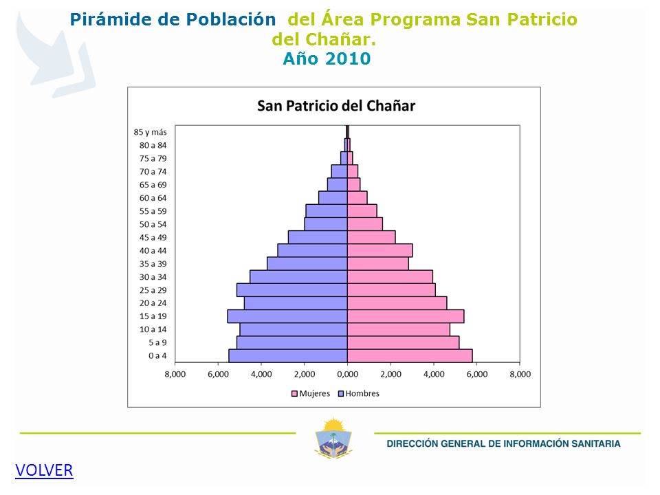 Pirámide de Población del Área Programa San Patricio del Chañar