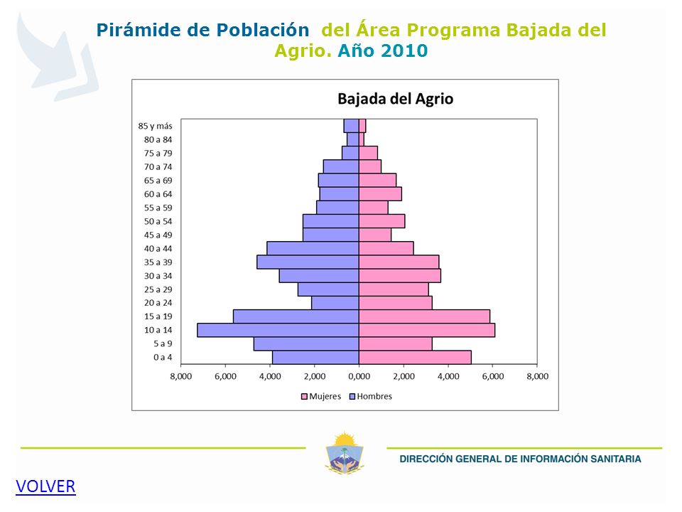 Pirámide de Población del Área Programa Bajada del Agrio. Año 2010