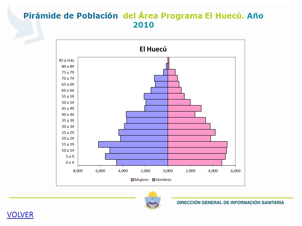 Pirámide de Población del Área Programa El Huecú. Año 2010