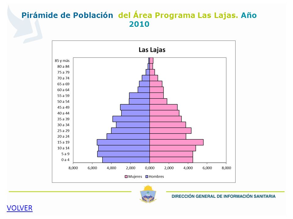 Pirámide de Población del Área Programa Las Lajas. Año 2010