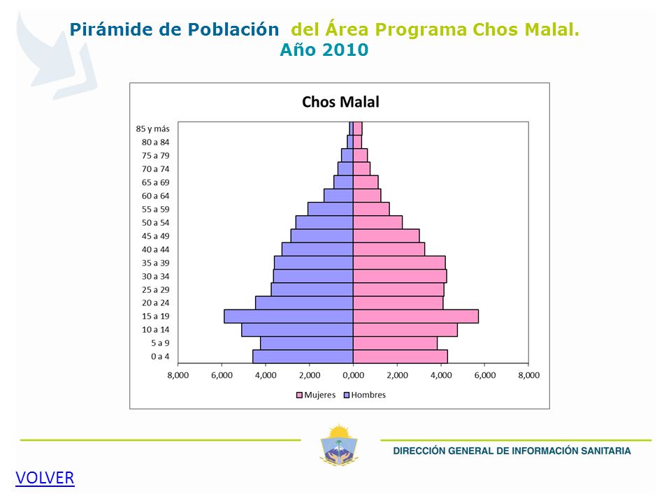 Pirámide de Población del Área Programa Chos Malal. Año 2010