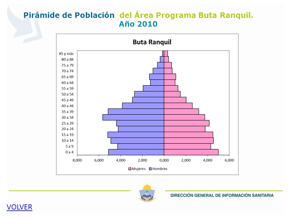 Pirámide de Población del Área Programa Buta Ranquil. Año 2010