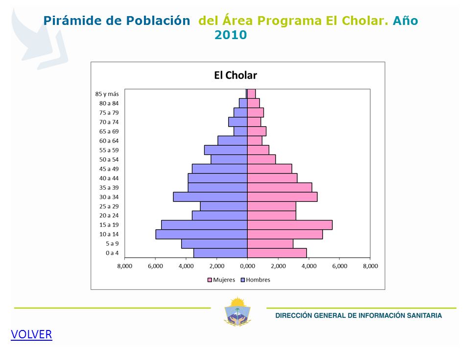 Pirámide de Población del Área Programa El Cholar. Año 2010