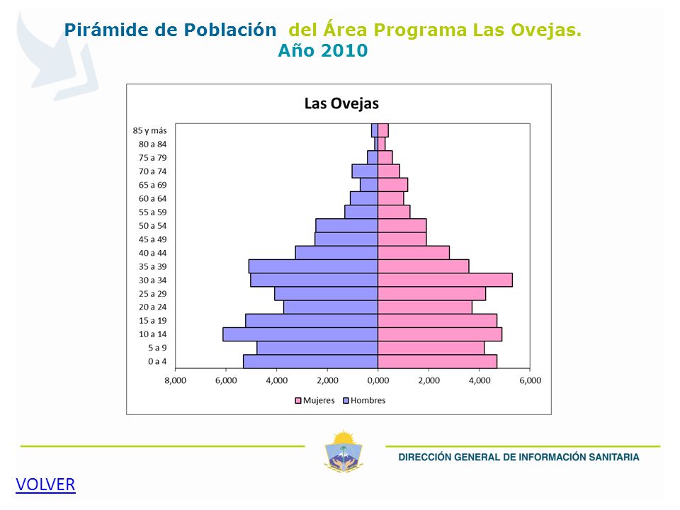 Pirámide de Población del Área Programa Las Ovejas. Año 2010