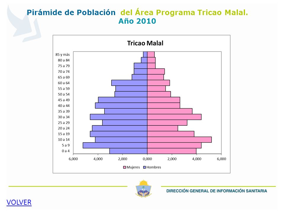 Pirámide de Población del Área Programa Tricao Malal. Año 2010
