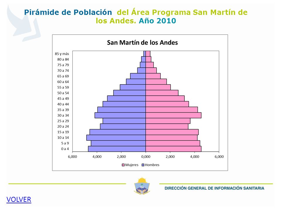 Pirámide de Población del Área Programa San Martín de los Andes