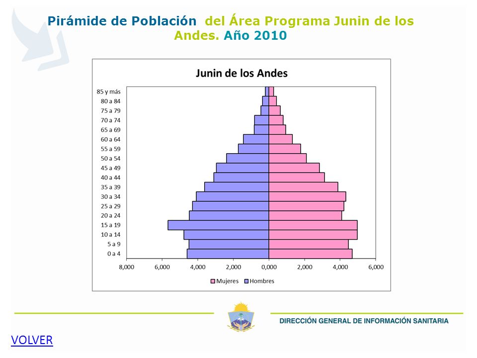 Pirámide de Población del Área Programa Junin de los Andes. Año 2010