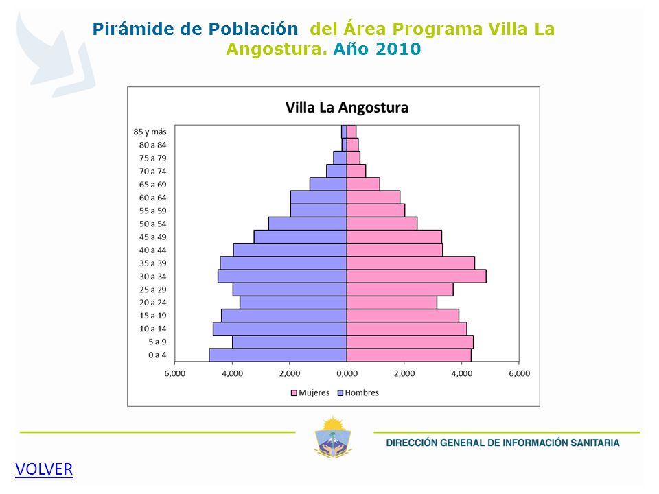 Pirámide de Población del Área Programa Villa La Angostura. Año 2010