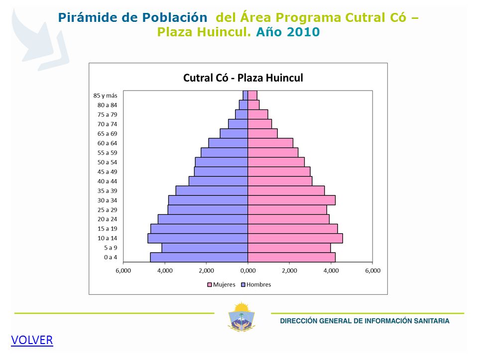 Pirámide de Población del Área Programa Cutral Có – Plaza Huincul