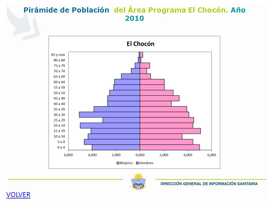 Pirámide de Población del Área Programa El Chocón. Año 2010