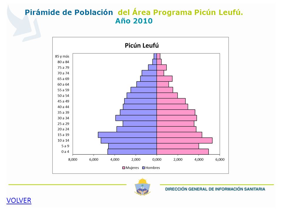 Pirámide de Población del Área Programa Picún Leufú. Año 2010