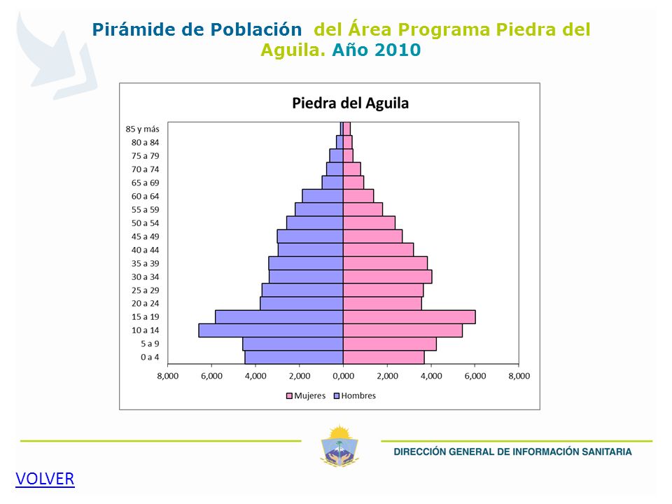 Pirámide de Población del Área Programa Piedra del Aguila. Año 2010