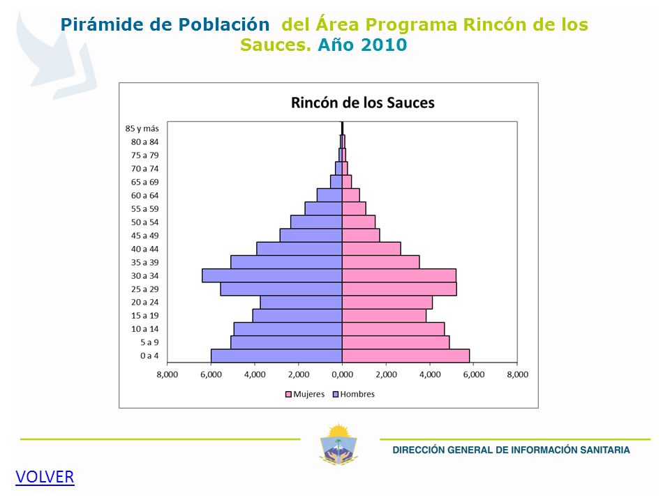Pirámide de Población del Área Programa Rincón de los Sauces. Año 2010