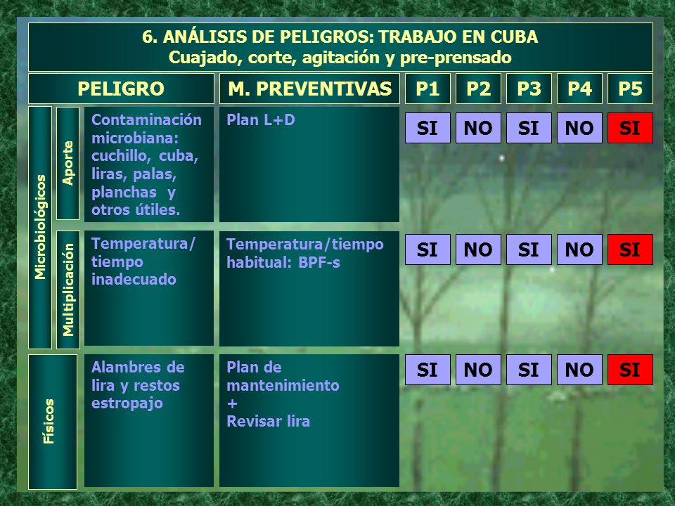 PELIGRO M. PREVENTIVAS P1 P2 P3 P4 P5 NO SI NO SI NO SI