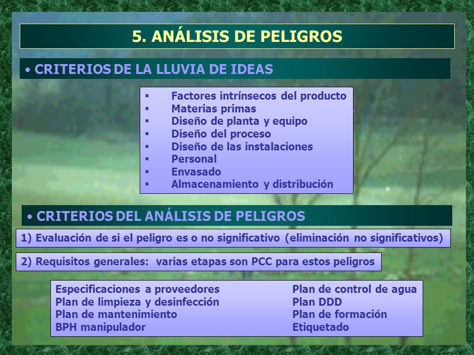 5. ANÁLISIS DE PELIGROS CRITERIOS DE LA LLUVIA DE IDEAS