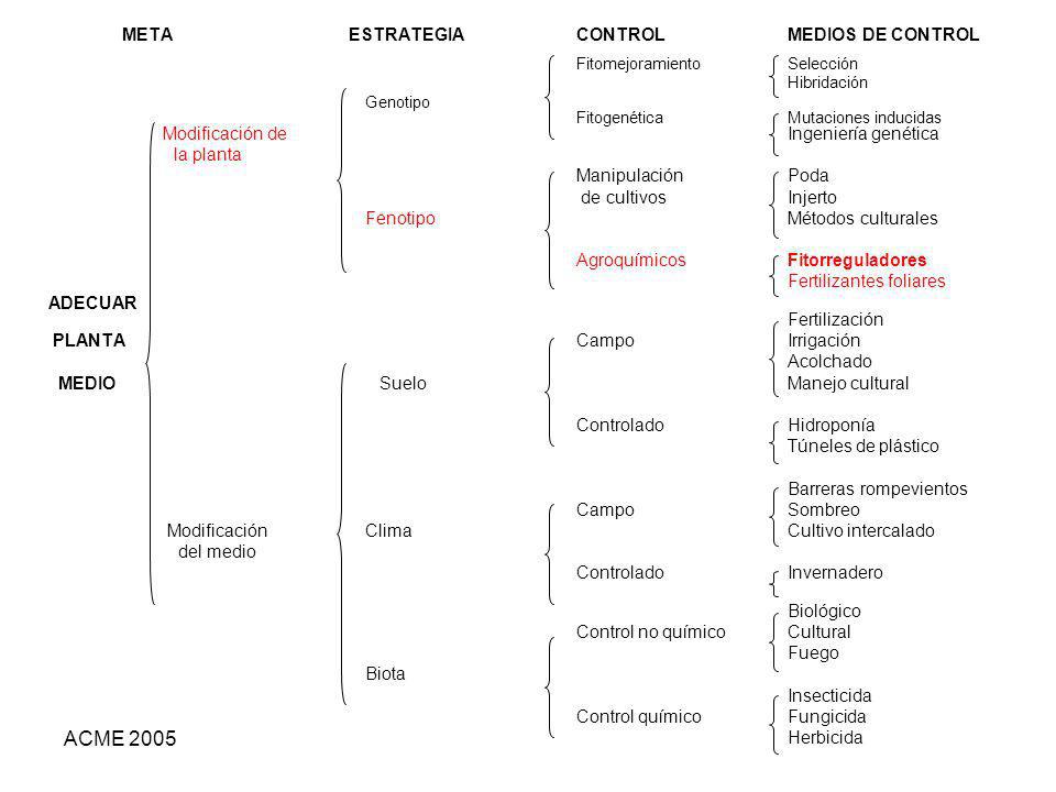 ACME 2005 META ESTRATEGIA CONTROL MEDIOS DE CONTROL la planta