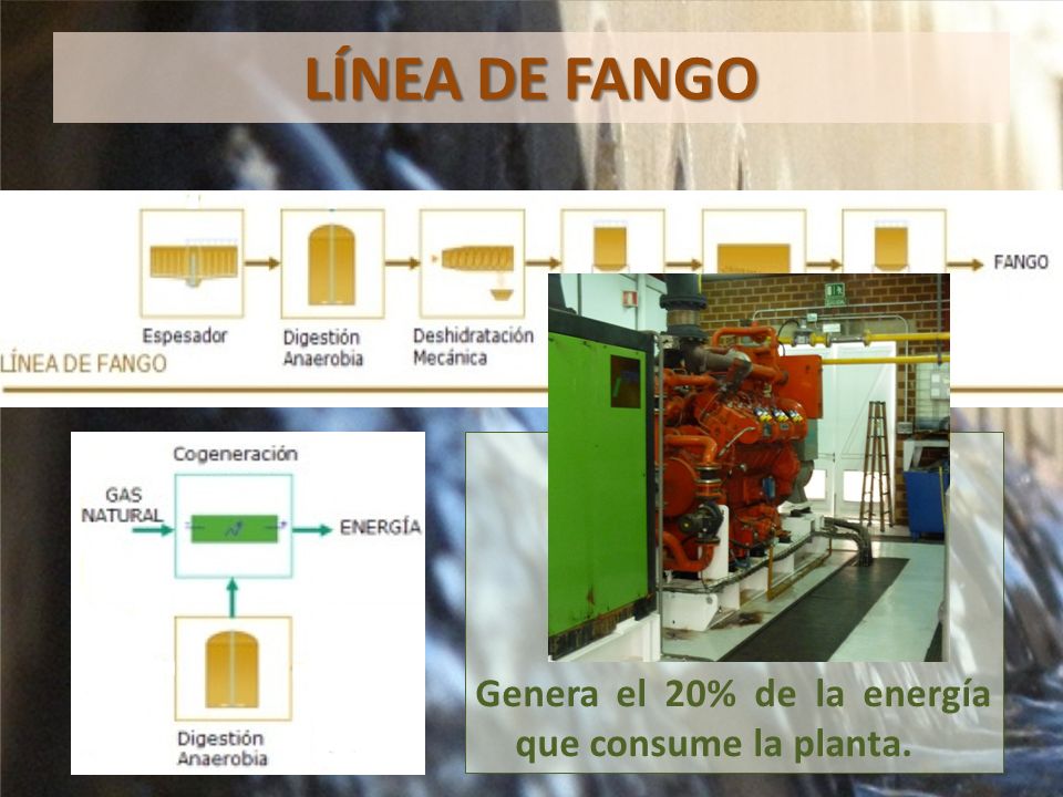LÍNEA DE FANGO Genera el 20% de la energía que consume la planta.