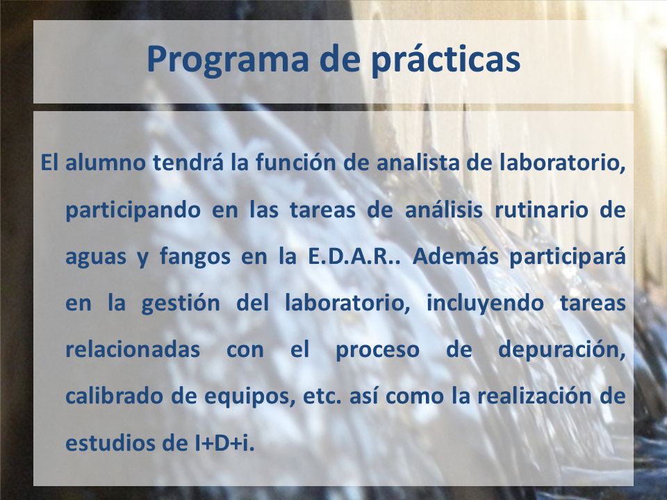 Programa de prácticas