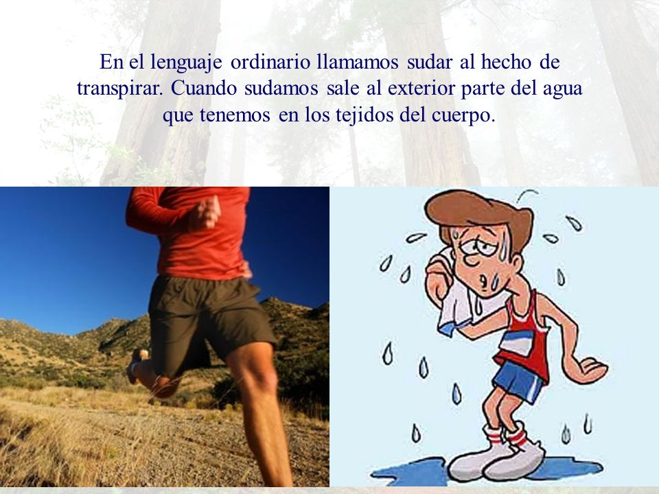 En el lenguaje ordinario llamamos sudar al hecho de transpirar
