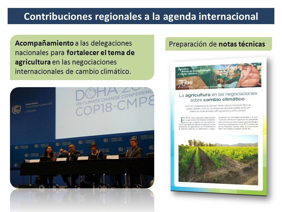 Contribuciones regionales a la agenda internacional