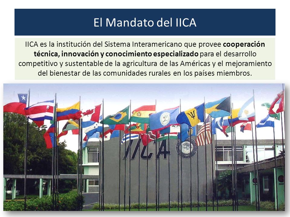 El Mandato del IICA