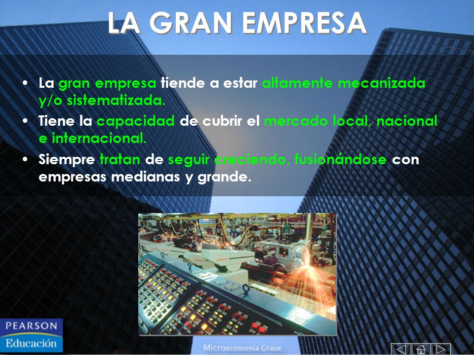 LA GRAN EMPRESA La gran empresa tiende a estar altamente mecanizada y/o sistematizada.