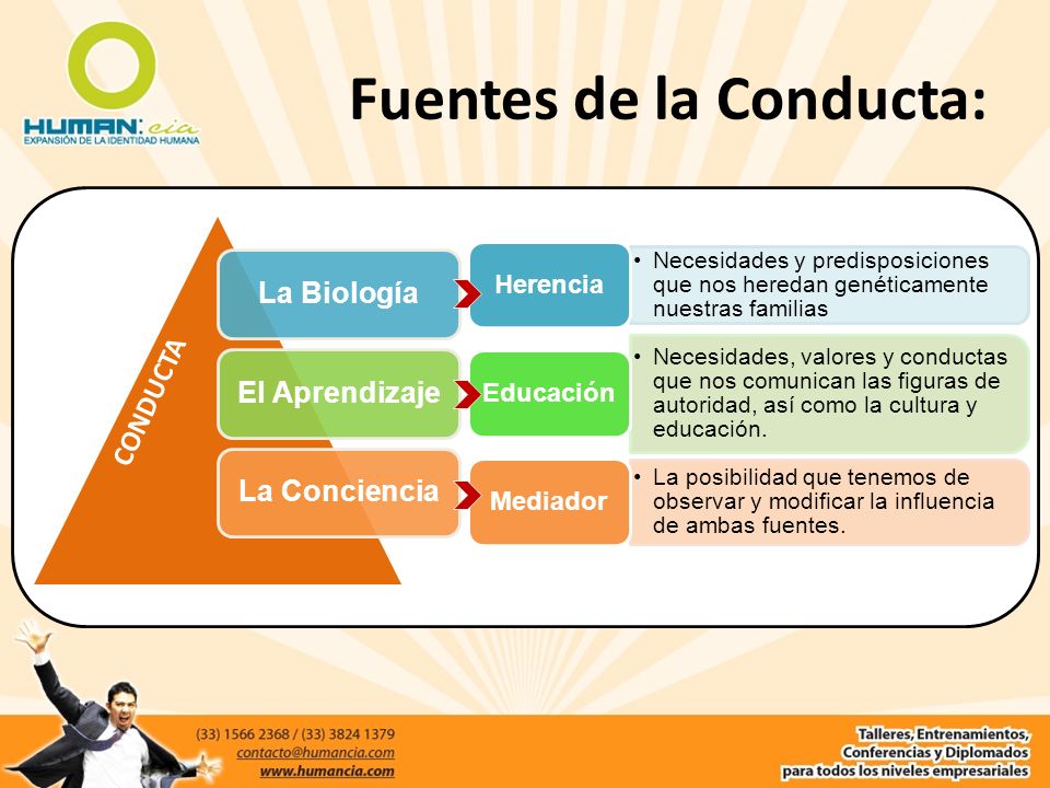 Fuentes de la Conducta: