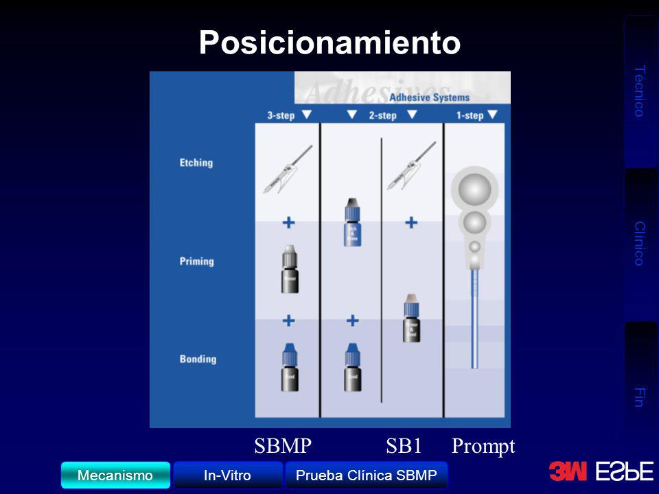 Posicionamiento SBMP SB1 Prompt Mecanismo In-Vitro Prueba Clínica SBMP